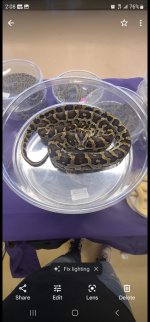 Female 9 .jpg