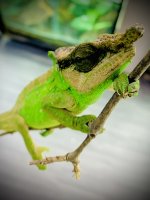 IMG_2656.jpg