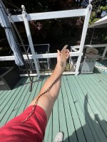 IMG_5116.jpg