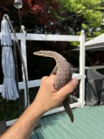 IMG_4939.jpg