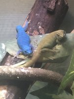 IMG_4549.jpg