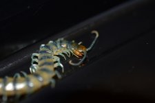 IMG_3922 2.jpg