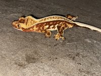 IMG_0840.jpg