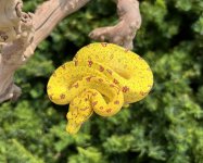 IMG_5887.jpg