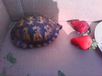 IMG_20110522_090047.jpg