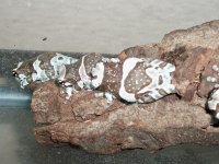 boas and balls 114.jpg