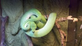 fauna pics 001.jpg