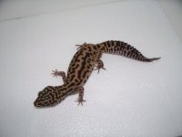 pics 003.jpg