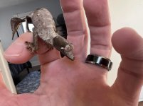 Male phant.jpg