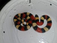 IMG_20230905_102056806.jpg