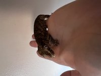 IMG_9146.jpg