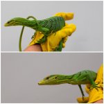 green3.jpg