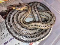 IMG_4506.jpg
