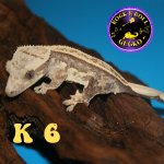 K 6 (1).jpg