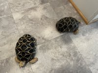 IMG_4181.jpg