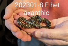 202301-8-F-het-ax.jpg