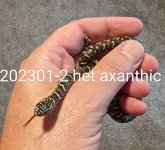 202301-2-het-ax.jpg