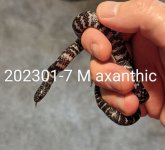 202301-7-M-ax.jpg