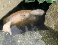 8C0B13B2-0830-42BB-88C8-C1877DBB2489.jpeg