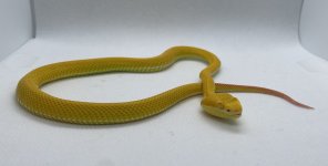 IMG_9078.jpg