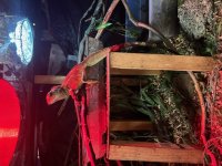 IMG_8518.jpg