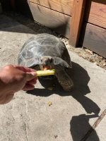 IMG_6317.jpeg