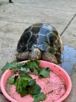 IMG_6336.jpeg