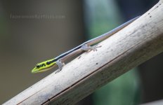 IMG_6441.jpg