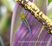 IMG_1719.jpg