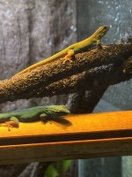 image1.jpeg