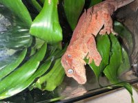 IMG_1575.jpg