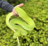 IMG_8633.jpg