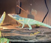 IMG_0435.jpg