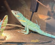 IMG_0436.jpg