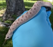 IMG_1533.jpg