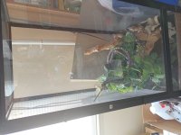 IMG_20230527_142503.jpg