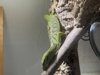 IMG_4838.jpg