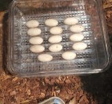 VglauertiPair3Clutch6.jpg