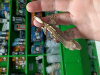 IMG_20230629_150414.jpg