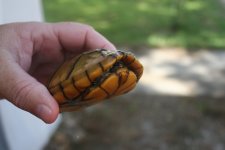 IMG_6093.jpg