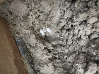 84B8953F-930C-4D0E-A0D4-730D11D947C3.jpg