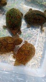 IMG_20231013_140238197~2.jpg
