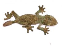DSCF3393.jpg