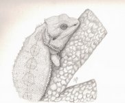 LastScan Dragon1.jpg