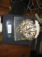 IMG_0471.jpg