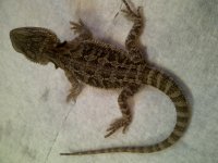 IMG-20110711-00303.jpg