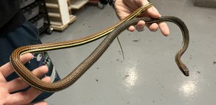 IMG_2388.jpg
