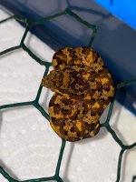 IMG_7628.jpg