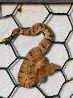 IMG_7629.jpg