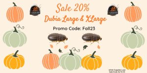 Sale Fall dubia large xlarge 9.28.23.jpg